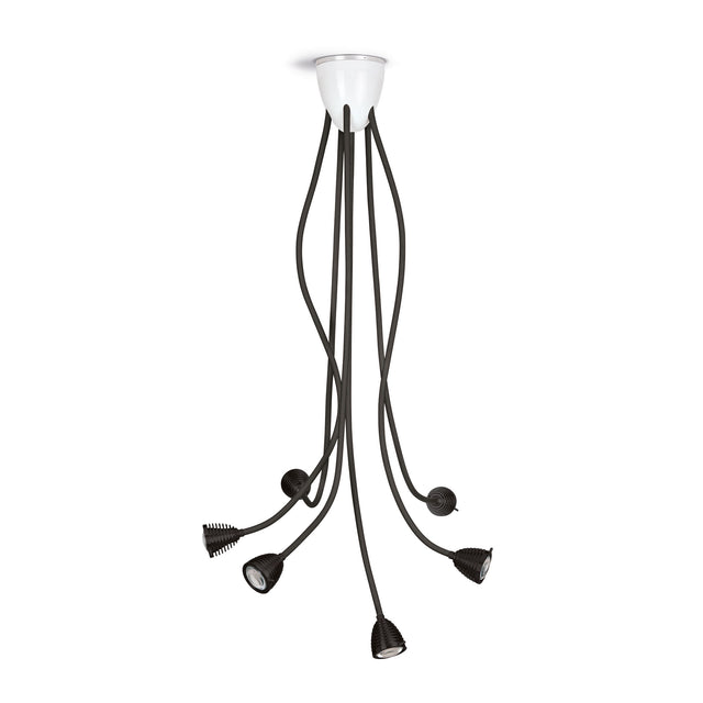ATHENE ceiling light 6DL